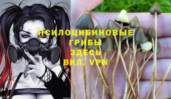 мескалин Вязники