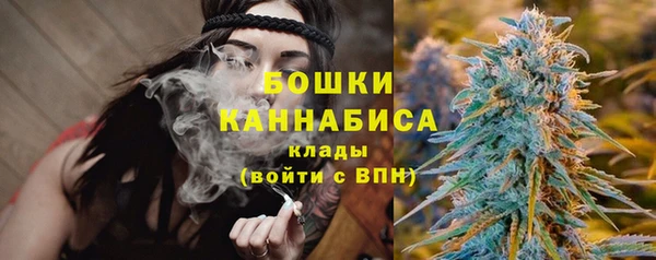 ALPHA PVP Вяземский