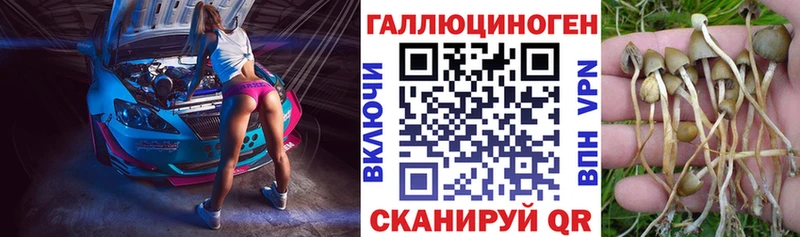 shop телеграм  Петрозаводск  Псилоцибиновые грибы мухоморы 